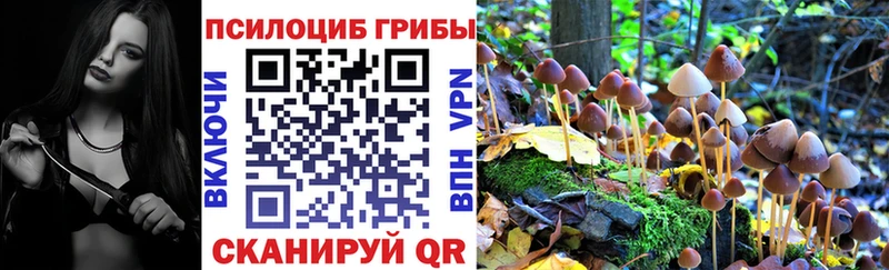 Галлюциногенные грибы мухоморы  kraken ТОР  Кукмор 